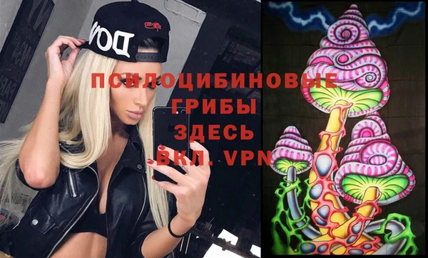 MDMA Белокуриха