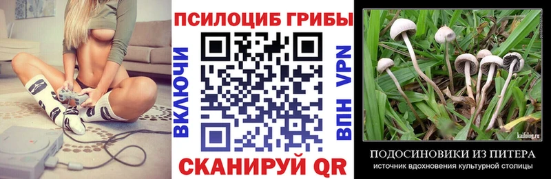 Псилоцибиновые грибы ЛСД  Велиж 