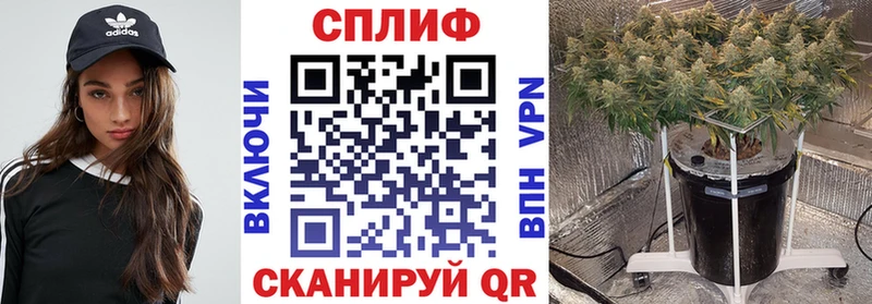 хочу наркоту  Велиж  МАРИХУАНА план 